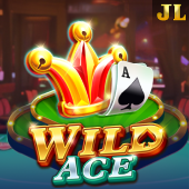 gamezone app download Wild Ace